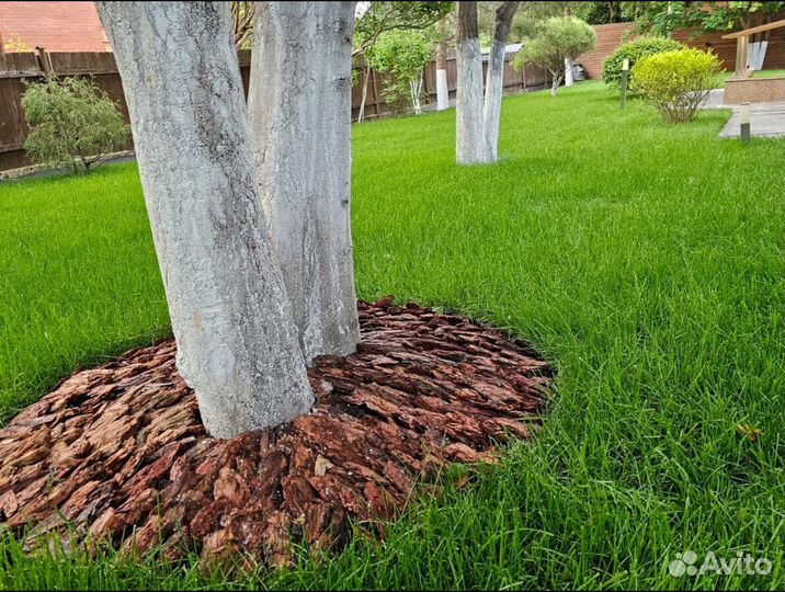 Рулонный газон от производителя спортивный