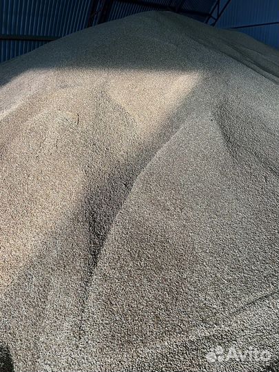 Ячмень, пшеница