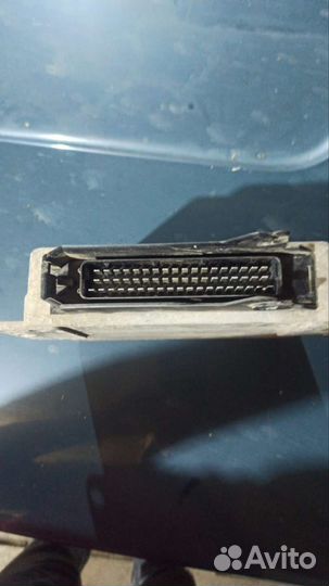 Мозги на газель