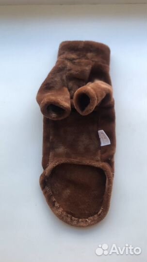 Одежда для кошек