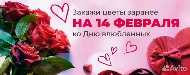 Розы Премиальных сортов ждут своих покупателей