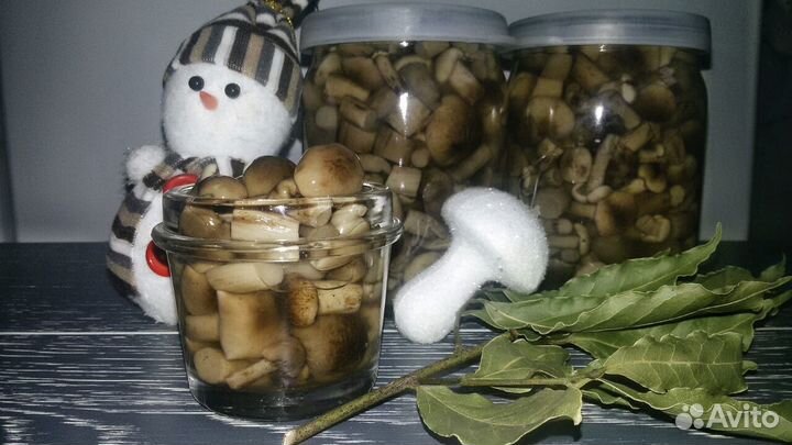 Опята маринованные