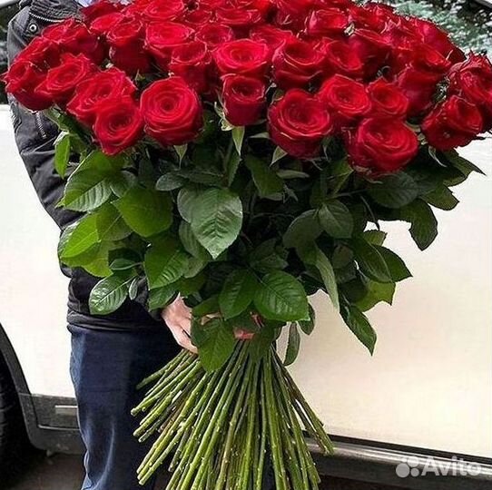101 Роза Цветы Букеты 51 25 Роз Доставка