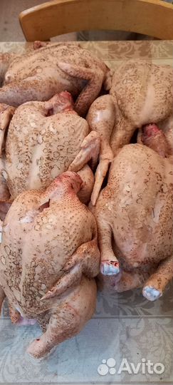 Мясо домашнего бройлера