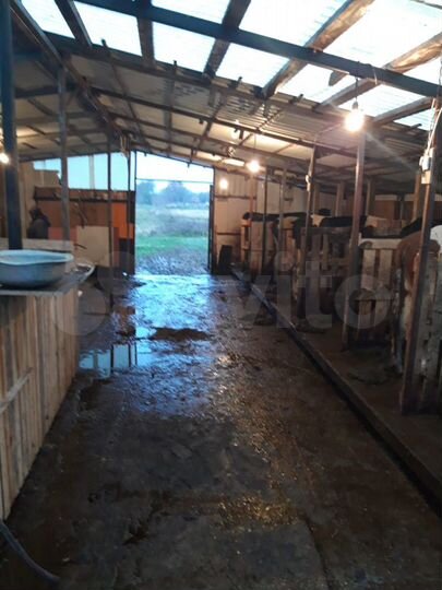 Дом 55 м² на участке 10 га