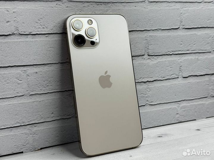 iPhone 12 Pro Max, 256 ГБ