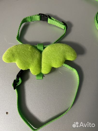 Поводок для выгула кошек