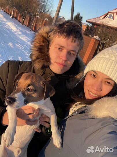 Передержка домашних животных (собака)