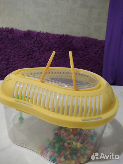 Аквариум для черепашки