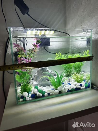 Аквариум