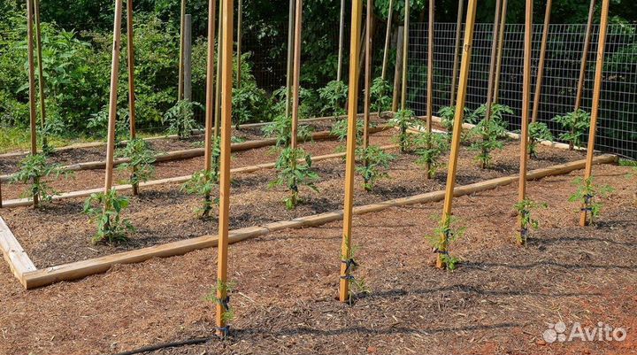 Опоры / колышки для сада и огорода / Курск