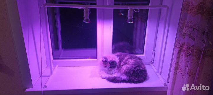 Светильник/Лампа для досветки рассады, растений