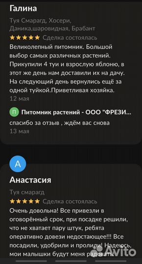 Саженцы яблони