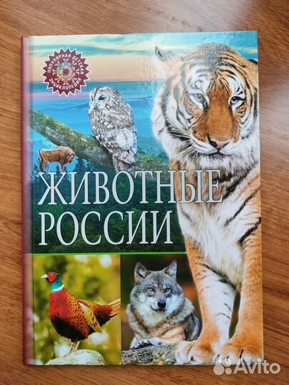 Детская энциклопедия