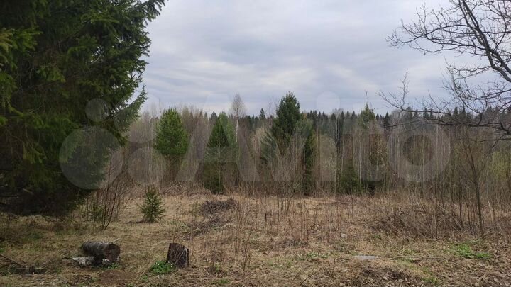 Участок 20 сот. (ИЖС)