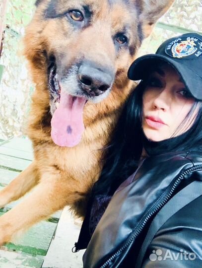 Администратор