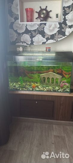 Аквариум на 200 литров