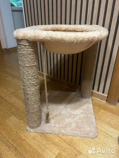 Когтеточка