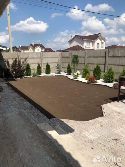 Рулонный газон