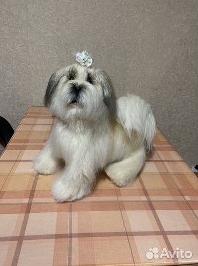 Интерьерная игрушка