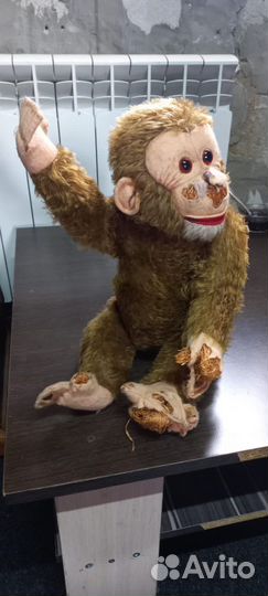 Обезьяна СССР