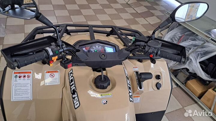 Hisun tactic 750 limited EPS