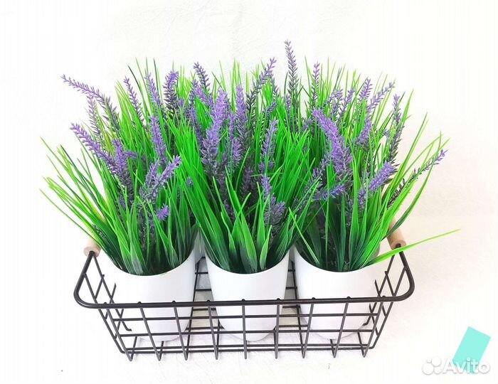 Фейка осока, лаванда, искусственная трава