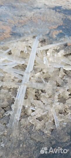 Лечебная грязь с Гуселетово