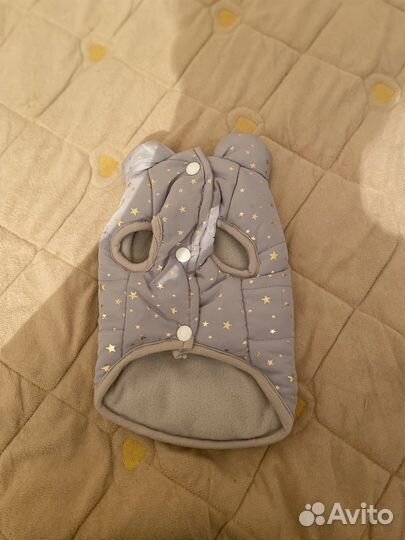 Жилетка для собак