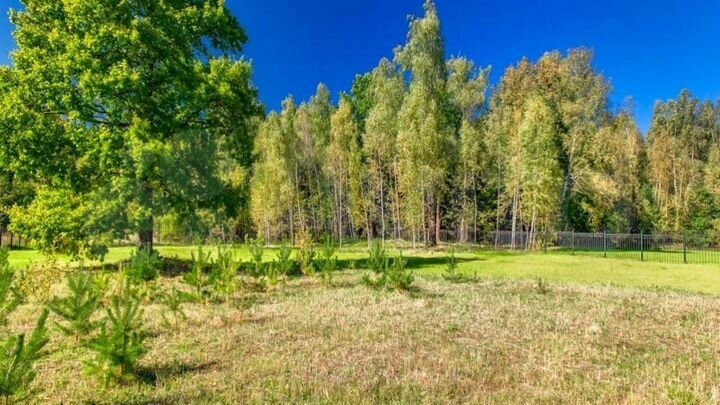 Участок 25 сот. (ИЖС)