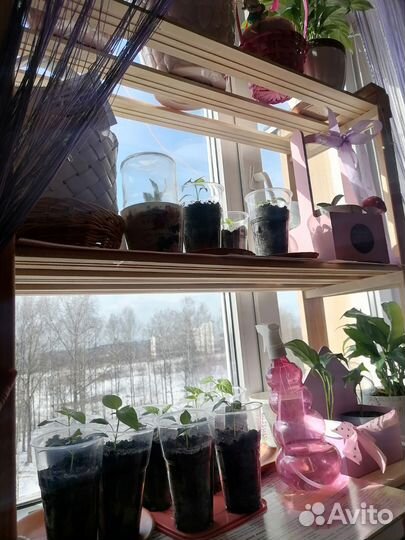 Полка для цветов