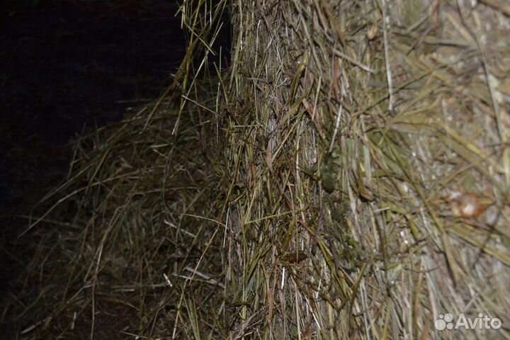 Сено мешками