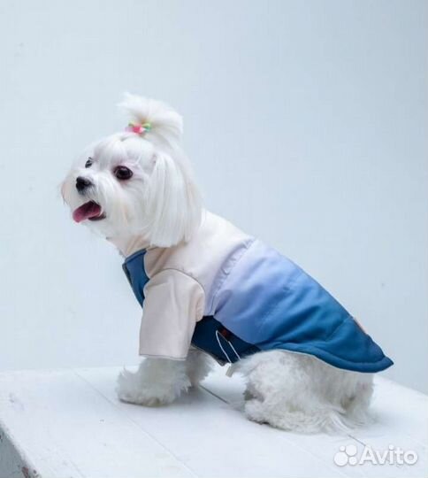 Очень красивая куртка для маленьких собак,размер L
