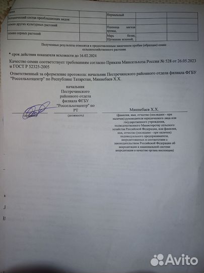 Горчица белая семена