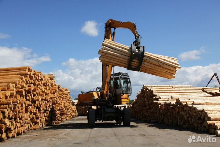 Лесной актив. Ок-мость 2 года. 60000 куб. лесосека