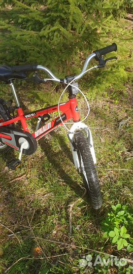 Велосипед Royal Baby Freestyle Space №1