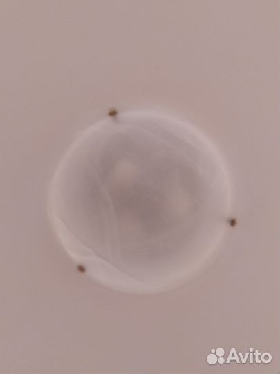 Светильник потолочный бу