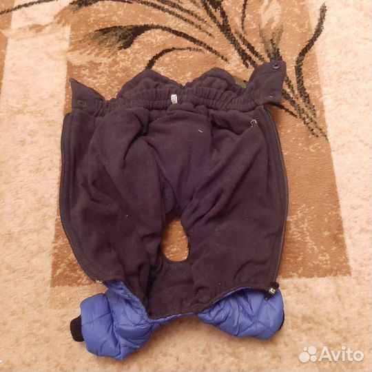 Одежда для маленьких собак