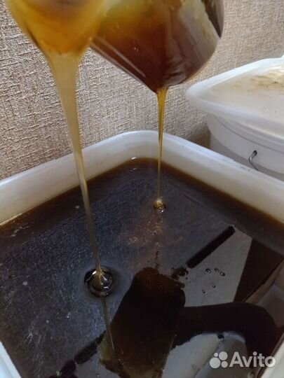 Мед гречишный