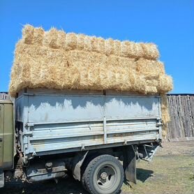 Солома в тюках с доставкой