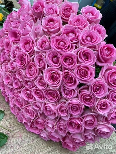 101 роза Букеты 51 101 201 Роза Доставка