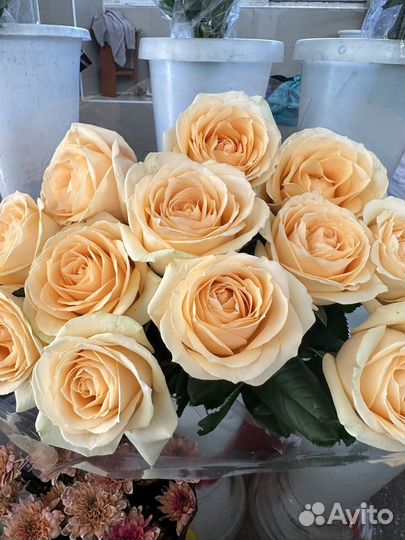 Букет цветов