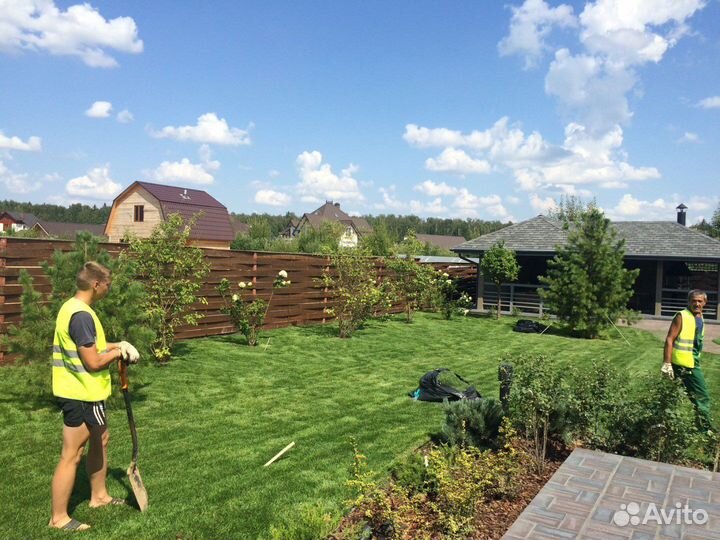 Рулонный газон с укладкой