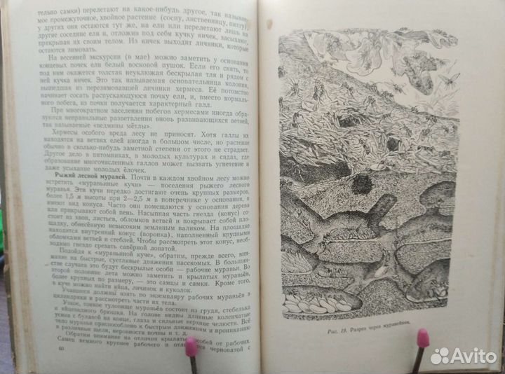 Книги, книга, учпедгиз 1952,1954г.ссср