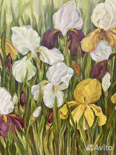 Картина маслом на холсте. Ирисы