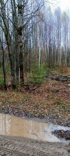 Участок 44 сот. (СНТ, ДНП)