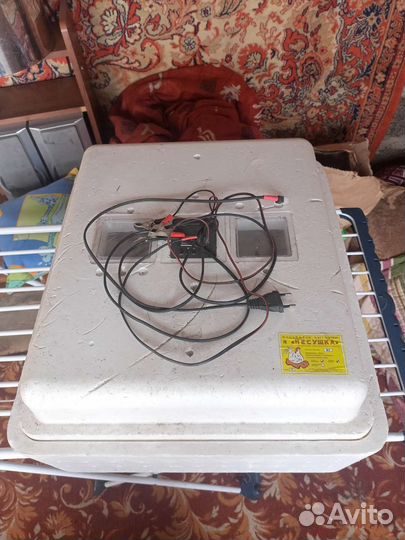 Инкубатор для яиц автоматический бу