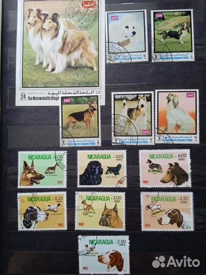 Коллекция марок 