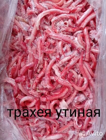 Мясо для животных