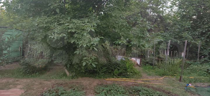 Дача 36 м² на участке 5,2 сот.